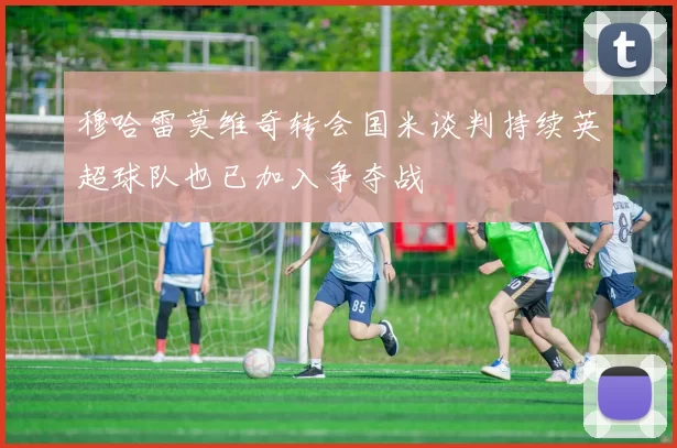 穆哈雷莫维奇转会国米谈判持续英超球队也已加入争夺战