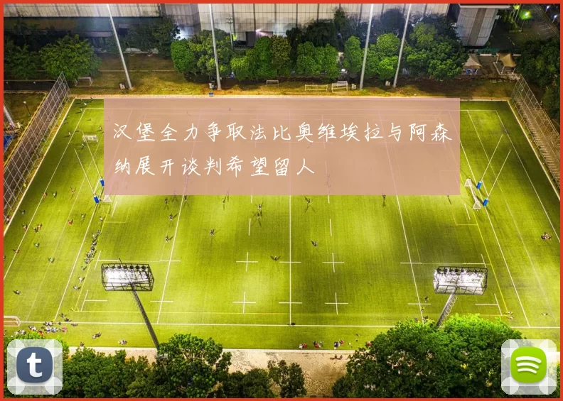汉堡全力争取法比奥维埃拉与阿森纳展开谈判希望留人