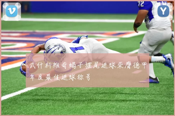武什科维奇蝎子摆尾进球荣膺德甲年度最佳进球称号