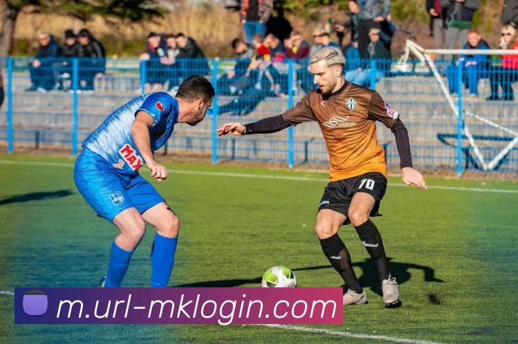 平台展示图